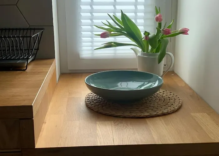 D 200m Do Plazy 公寓 索波特