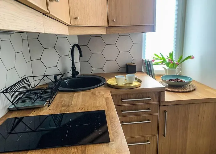 D 200m Do Plazy 公寓 索波特